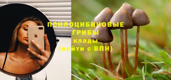 стаф Карпинск
