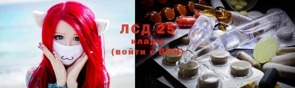 стаф Карпинск