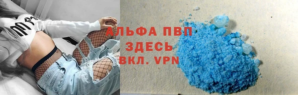 стаф Карпинск